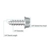 Four (4) Stainless Steel License Plate Screws (BCP253)