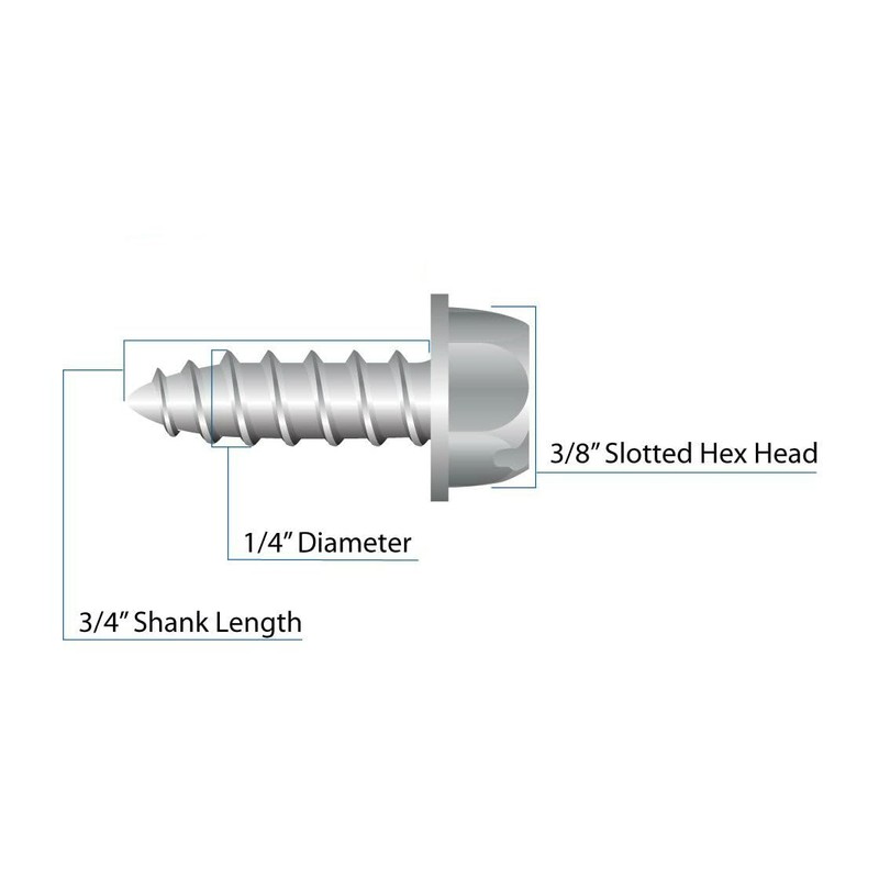 Four (4) Stainless Steel License Plate Screws (BCP253)