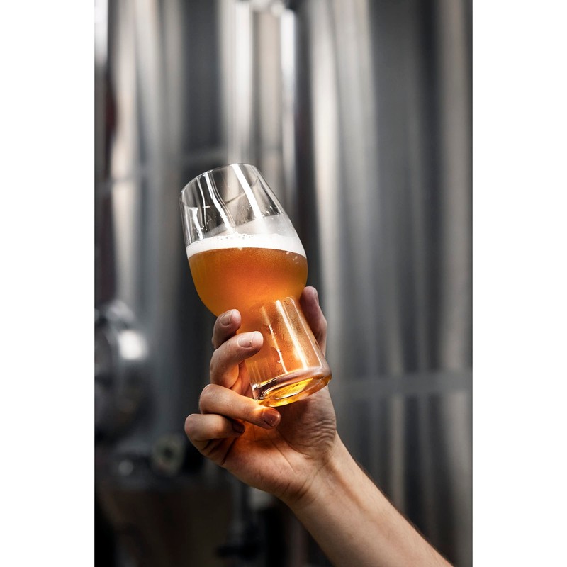 Waterford Craft Brew IPA Glass, Set of 2, 16 oz,