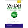 Welsh Grammar You Really Need to Know: Teach Yourself