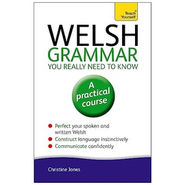 Welsh Grammar You Really Need to Know: Teach Yourself