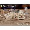 Smithsonian Rock and Gem Dig, Brown