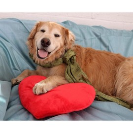 sunyou Cute Plush Red Heart Pillow Cushion Toy Throw Pillows Gift for Kid Friends/Children/Girl/Valentine's Day Fit for Living Room/Bed Room/Dining Room/Office and Sofa/Cars/Chairs (Heart)