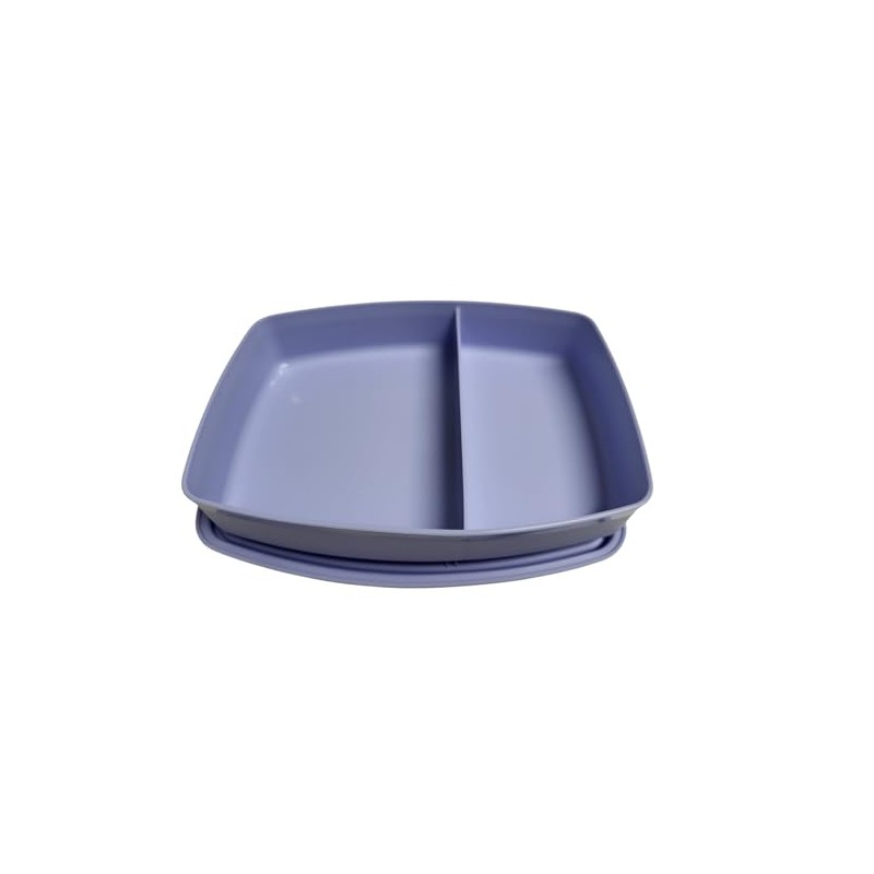 Tupperware to Go Lunch Box Clever Break 590 ml with