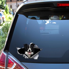 Border Collie Car Sticker 18 cm (7.1 Inch) Border Collie Car Sticker 3D Ripped Car Sticker Border Collie Reflective Sticker Bumper Funny Decor Waterproof Sticker