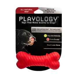 Playology Dual Layer Bone Dog Toy, for Medium to Large Dogs (15lbs - 35lbs) - for Heavy Chewers - Engaging All-Natural Beef Scented Toy - Non-Toxic Materials
