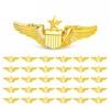30 Pcs Pilot Wing Pins Gold Tone Alloy Set for