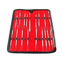 ASSORTED SET OF 18 PCS DENTAL INSTRUMENTS CURRETTES, CHISEL, PLASTIC FILLING AND BONE FILE by G.S ONLINE STORE
