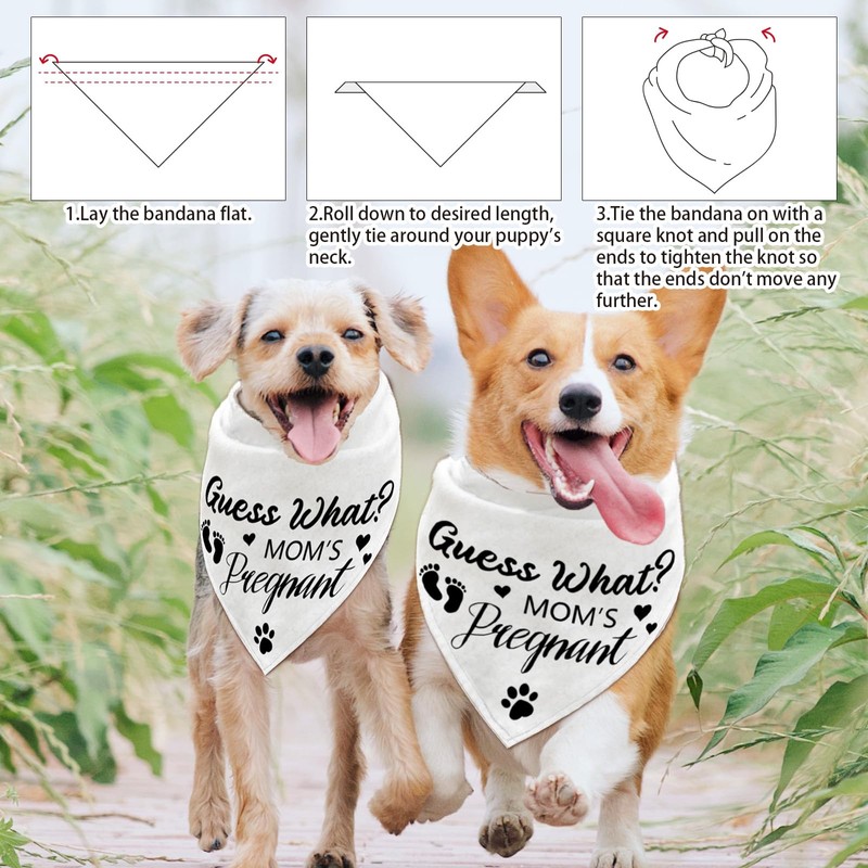 arricraft 1 Pc Pet Dog Bandana, White Pregnancy Announcement Reveal