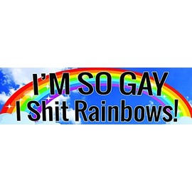 Funny MAGNETIC Bumper Sticker - I'M SO GAY I Rainbows!!