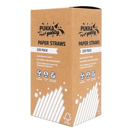 PUKKA party Paper Straws – Pack of 250 Eco-Friendly, Biodegradable Drinking Straws – Extra Strong Durability, Lasts up to 24 Hours in Water – Counter Display Unit with Tear-Away Top – White, 19.5cm