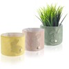 com-four® 3 x Easter Planter, Easter Nest with Easter Bunny