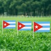 Cuba Flag Cuban Small Stick Mini Hand Held Flags Decorations