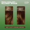 Clairol Natural Instincts Demi-Permanent Hair Dye, 6BZ Light Caramel Brown