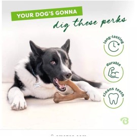 Benebone Wishbone Durable Dog Chew Toy for Aggressive Chewers, Real Bacon, Made