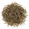 Rosemary Organic Culinairy Gourmet Herb - Rosmarinus Officinalis Directly from