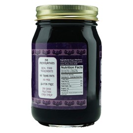 Green Jay Gourmet Elderberry Jelly – All-Natural Jam with Elderberries & Lemon Juice – Vegan, Gluten-free Jam - Contains No Preservatives or Corn Syrup – Made in USA Elderberry Jam – 20 Ounces
