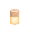 Gingko 7 Colour Changing RGB Large Lemelia Night Lights, Long