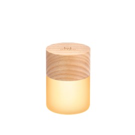 Gingko 7 Colour Changing RGB Large Lemelia Night Lights, Long Life Battery USB-C Charging, 3 Light Modes, FSC Certified, Touch Button Control (White Ash)