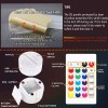 TriPro Axolotl 3D Illusion Night Light Lamp Bedroom Decor Gifts