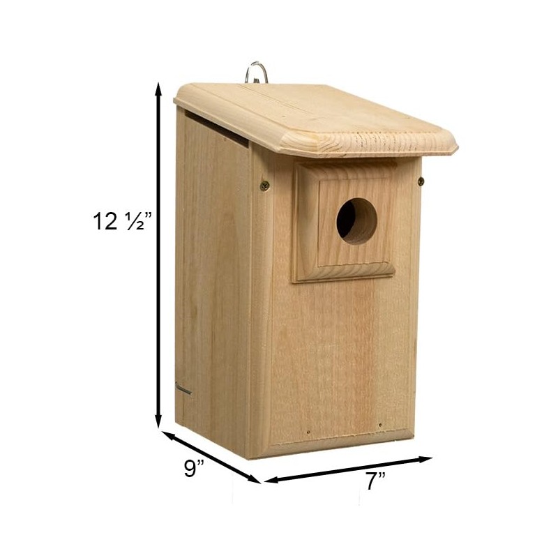 Coveside Western Bluebird House with Observation Window