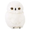 White Owl