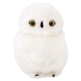 White Owl