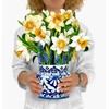 UKKQES Paper Pop Up Cards, English Daffodils，12 inch Life Sized