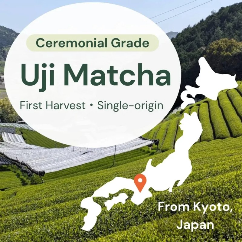 Wako Matcha Uji Ceremonial 40 G - Té Verde En
