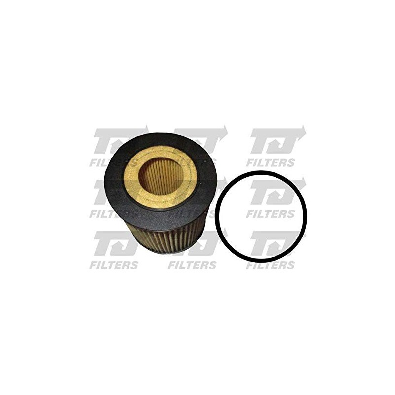 TJ QFL0073 Oil Filter