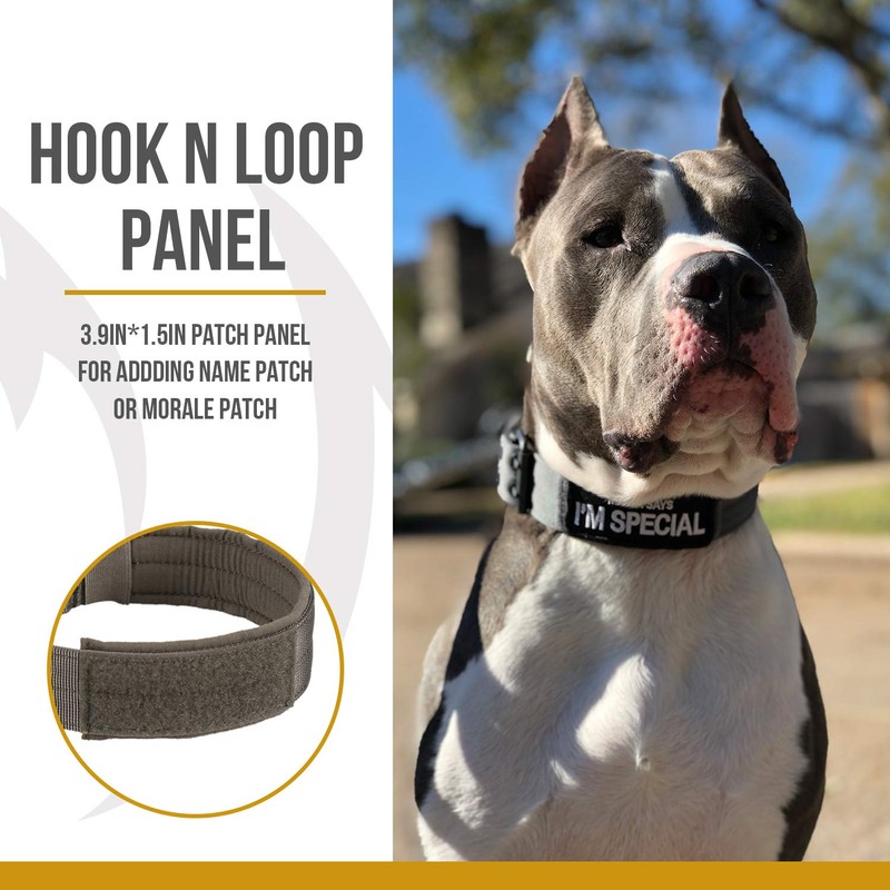 OneTigris Military Adjustable Dog Collar with Metal D Ring &