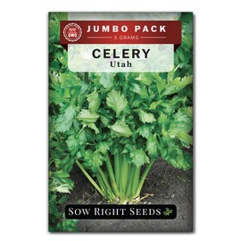 Sow Right Seeds - Bulk Tall Utah Celery Seeds for Planting - 3 Grams, 2100 Seeds - Non-GMO Heirloom Jumbo Pack with Instructions to Plant and Grow an Outdoor Home Vegetable Garden - Bountiful Harvest