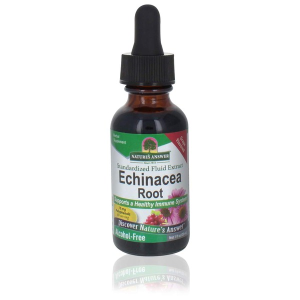 Nature's Answer Alcohol-Free Echinacea with Natural Grape Flavor, 1-Fluid Ounce | Promotes Overall Wellness | Natural Immune Booster | Inflammatory Reducer