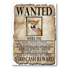 Shiba Inu Wanted Fridge Magnet No 1