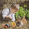8 Pcs Stacking Cups for Rabbits Safe Plastic Rabbit Toys