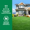 Maximum Green & Growth Fertilizer High Nitrogen 28-0-0 Liquid Lawn