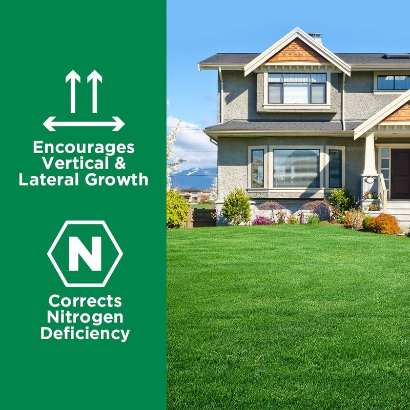 Maximum Green & Growth Fertilizer High Nitrogen 28-0-0 Liquid Lawn