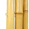 Backyard X-Scapes Natural Bamboo Fencing Decorative Rolled Fence Panel 0.75