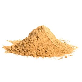 Steinpilzpulver | 40g | Steinpilze Gewürz gemahlen | Steinpilz Pulver ohne Zusätze | Stein Pilze gemahlen | gemahlene getrocknete Steinpilze | Gerüche-Küche |