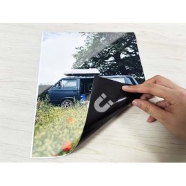 EAGLES WIN THE 2025 SUPERBOWL LIX CHAMPIONS - 4x6 Glossy Printed Magnet