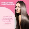 Shampoo Cacahuananche 950ml Nutritivo Fortificante Reparador