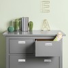 Ravinte 1 Pack Brushed Nickel Sliding Closet Door Handles Silver