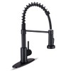 Kitchen Faucets with Pull Down Sprayer Commercial Industrial Stainless Steel