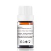 GM Gumili Peppermint Essential Oil - 100% Pure Aromatherapy Oil