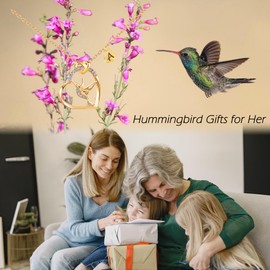 Hummingbird Gifts for Women Rainbow Hummingbird Necklace Initial Letter Hummingbird Heart Necklaces Hummingbird Pendants for Daughter Mom Niece Hummingbird Lovers (Gold, A)