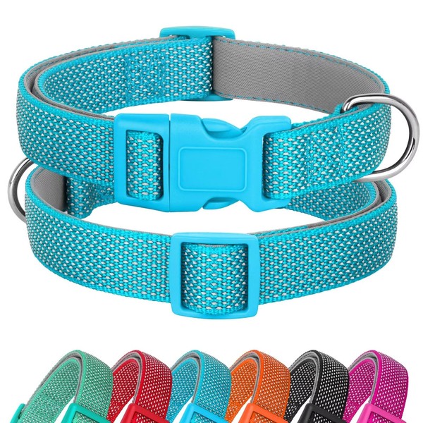 Didog Reflective Dog Collar with Buckle Adjustable Soft Neoprene Padded