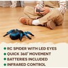 Terra by Battat – Remote Control Tarantula for Kids with