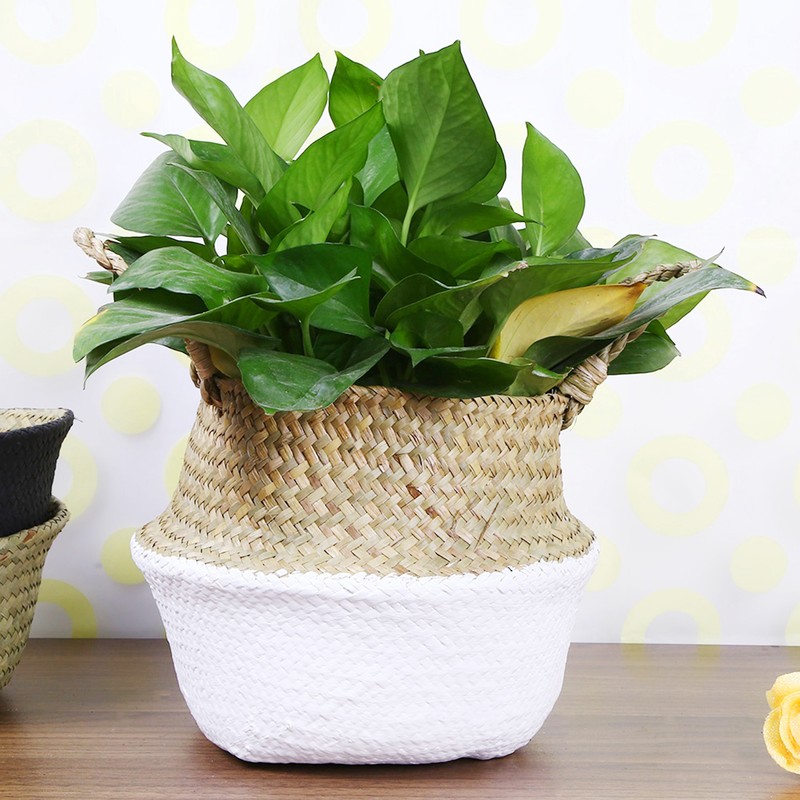 Foldable Storage Baskets Laundry Straw Patchwork Home Seagrass Belly Garden