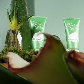 Peppermint Leaf Pore Cleansing Foam 120ml 2 / 페퍼민트잎 모공 클렌징폼 120ml 2개