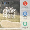 Biped 2 Pairs of Children's Lambswool Natural Latex Winter Soles